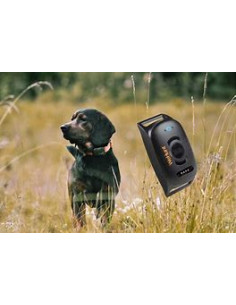 WeHunt GPS Dog Tracker II